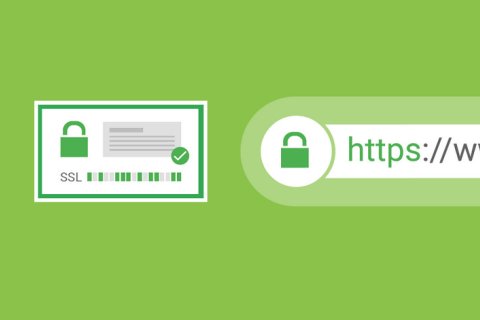 您应该为网站选择哪种类型的 SSL 证书？